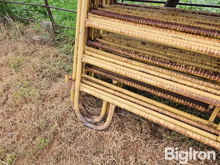 livestock-panels-image-7