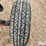 duo-lift-25'-header-trailer-image-19