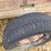 portable-livestock-chute-image-20