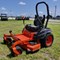okeechobee-auction---ring-2-image-3