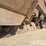 2019-caterpillar-336-image-13