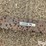pipe-trailer-image-20
