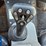 bobcat-toolcat-5600-image-8
