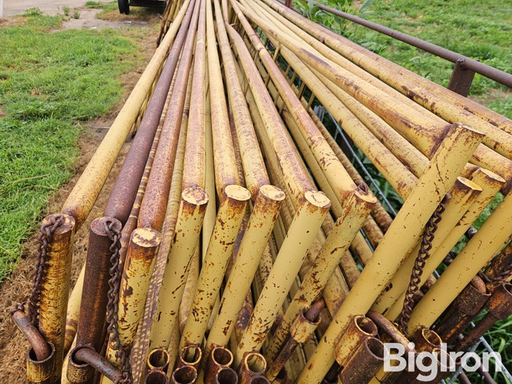 livestock-panels-image-7