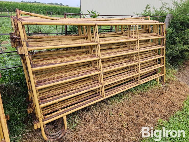 livestock-panels-image-3