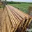 livestock-panels-image-5