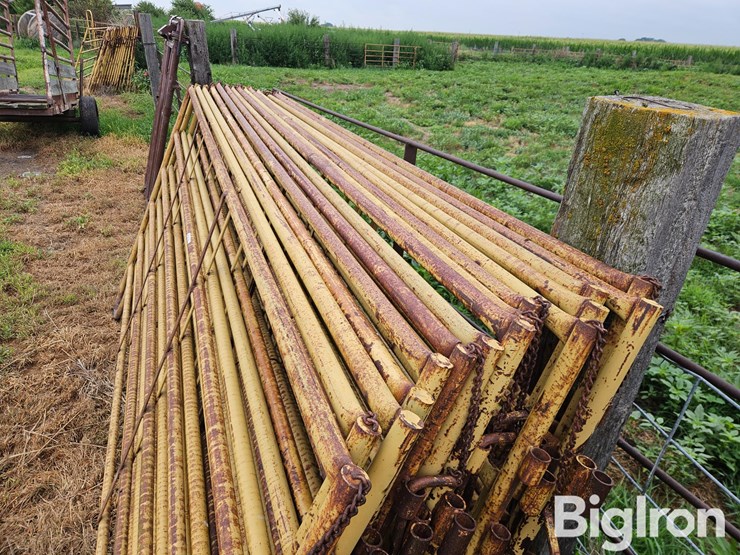 livestock-panels-image-5