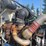 2007-peterbilt-378-twin-steer-t/a-cab-&-chassis-image-19