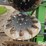 besler-21630-16r30"-3-pt-root-slicer-image-16