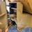 1996-thwaites-alldrive-6-image-12