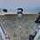 2008-cargo-wells-image-9