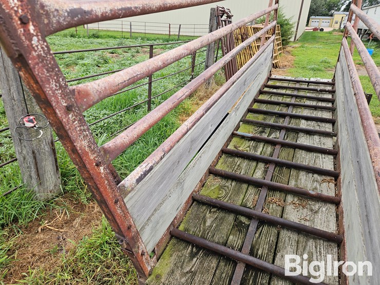 portable-livestock-chute-image-11