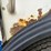 autocar-xpeditor-image-9
