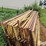 livestock-panels-image-4