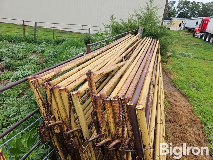 livestock-panels-image-4