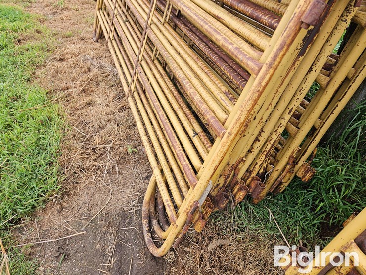 livestock-panels-image-6