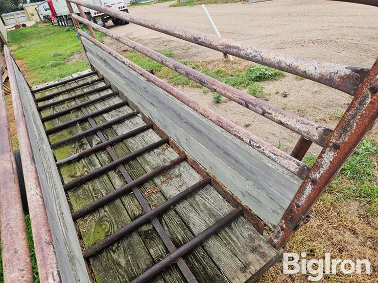 portable-livestock-chute-image-12