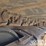 2019-caterpillar-336-image-12