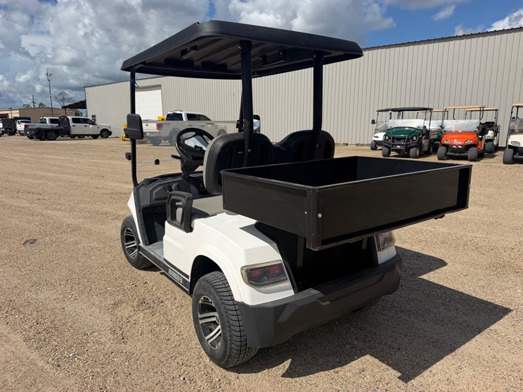 #1638-•-2022-advanced-ev-golfcart-image-3