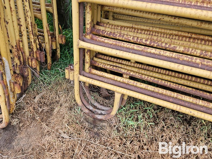 livestock-panels-image-9
