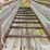portable-livestock-chute-image-17