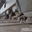 2020-volvo-ec300el-image-18