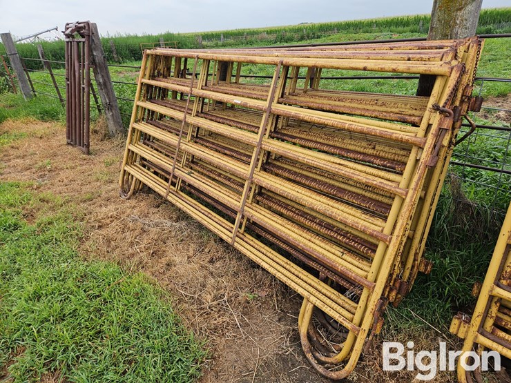 livestock-panels-image-1