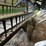 john-deere-635f-image-8
