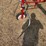 brittonya-sprayer-image-10