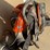 #2030-•-husqvarna-150-bt-back-mounted-leaf-blower-image-6
