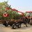 2024-wemax-rt06-self-loading-6-ton-log-trailer-kit-image-1