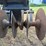 steiger-2213-disc-image-9