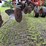 international-800-plow-image-10
