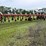 international-800-plow-image-5