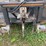 rugged-roost-snow-blower-image-8