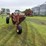 international-800-plow-image-4