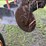 international-800-plow-image-9