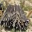 l3--200-6'-t-posts-image-1