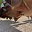 #t15735-•-dickens-pan-buster-aerator-image-13