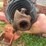 hardee-h360-image-8