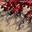 case-ih-1830-image-16