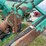 3pt-houle-manure-pump,-small-1000pto,-with-hyd-adjust-cylinder-image-8