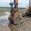 case-cx-160-excavator,-48''-tooth-bucket,-10,158-hours,-just-upgrading,-s/n--160k3-1803-image-3