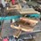 powermatic-table-saw-image-2
