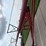 2011-sudenga-10”-x-71ft-grain-auger-image-4