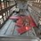 2010-wilson-livestock-image-53