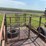 hog-cart-with-hydraulic-lift,-6x16,-48"-lift-image-4