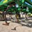 2013-john-deere-2210-image-6