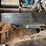 saws-&-press-image-1