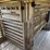 2016-wilson-livestock-trailer-image-66